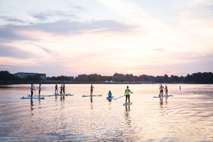 A group of paddle boarders at sunset