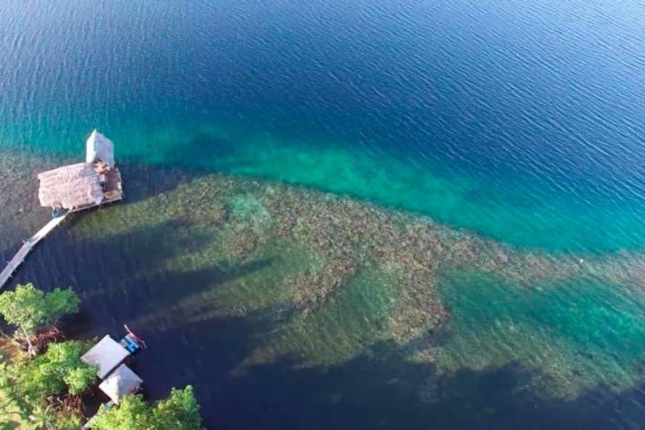 an aerial view of the coast and water of a retreat