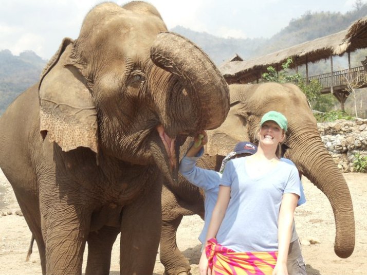 elephant elephant