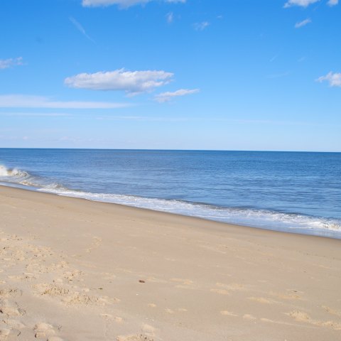 a sandy beach next to the ocean