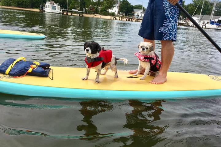 a group of people on a boat in the water