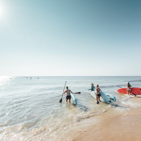 a group of people on a beach