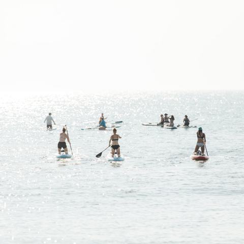 a group of people riding skis on a body of water