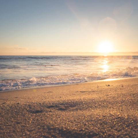a sandy beach next to the ocean