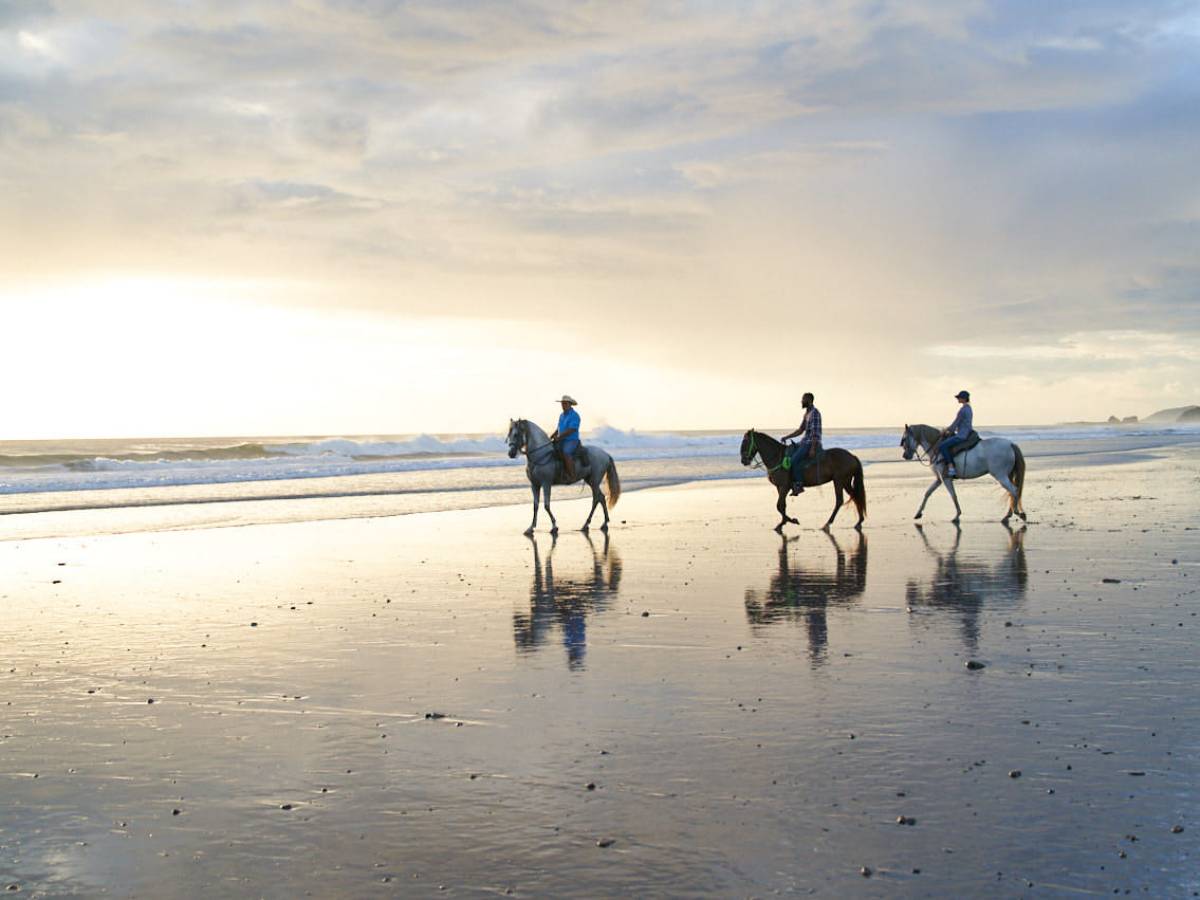 a group of people riding horses on a beach