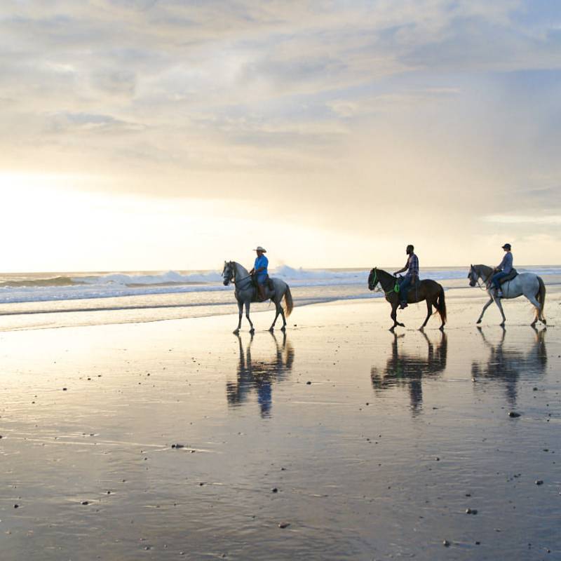 a group of people riding horses on a beach