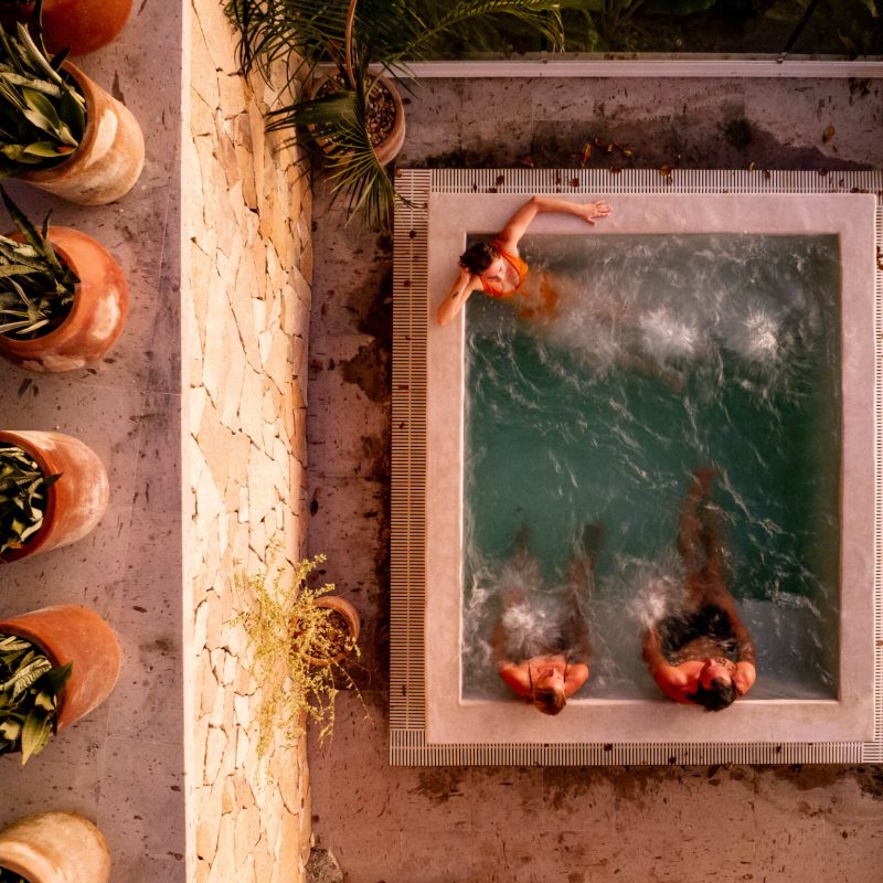 a vase of flowers on a brick wall