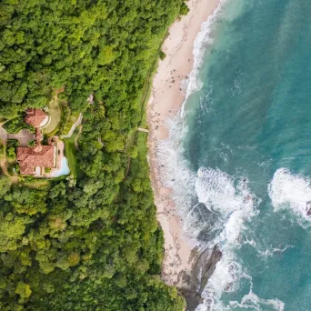 a large green landscape