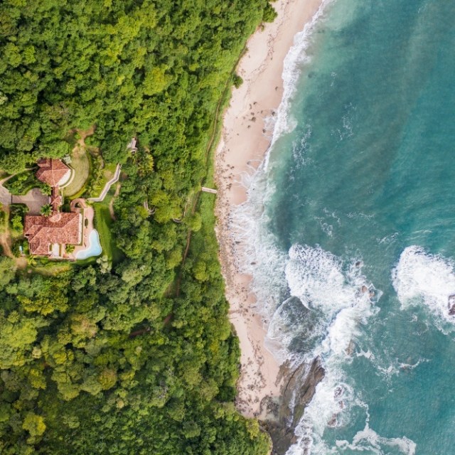 a large green landscape