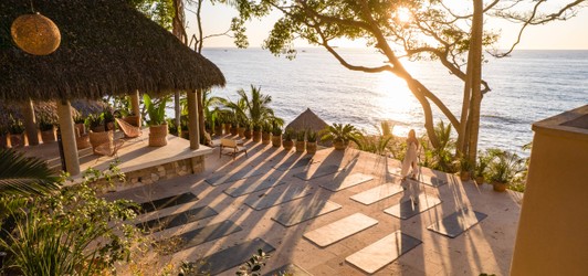 a row of palm trees next to a pool of water