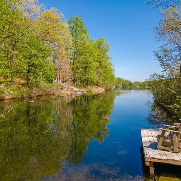 a body of water surrounded by trees