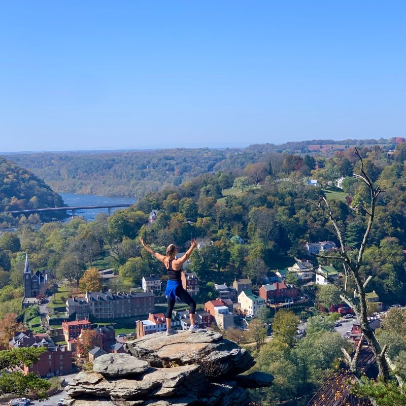 a tree with a mountain in the background