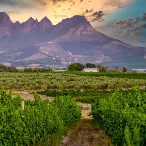 a large mountain in the background