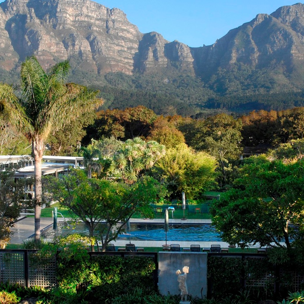 a tree with a mountain in the background