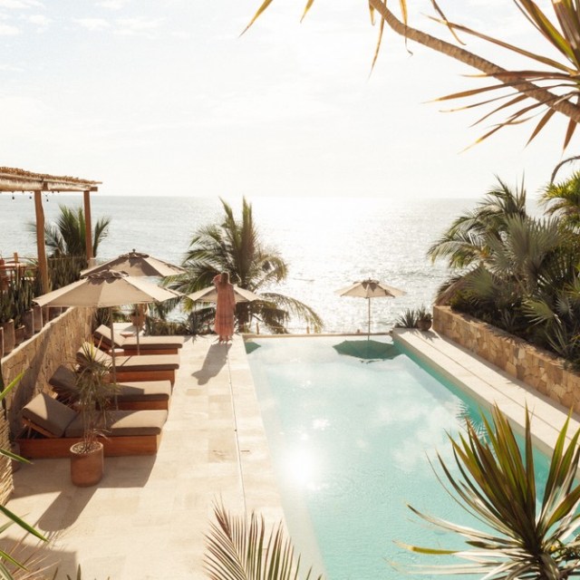 a pool next to a palm tree