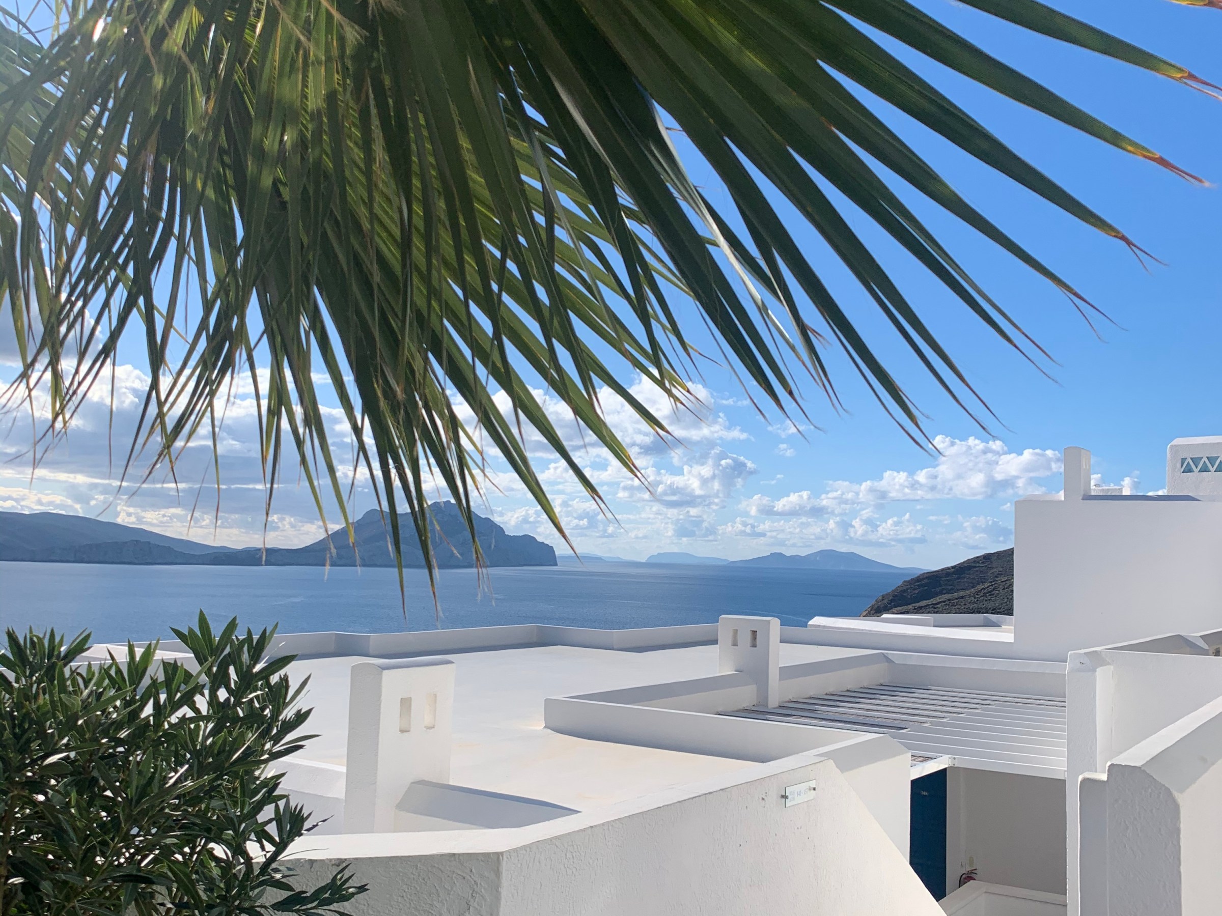 a building next to a palm tree
