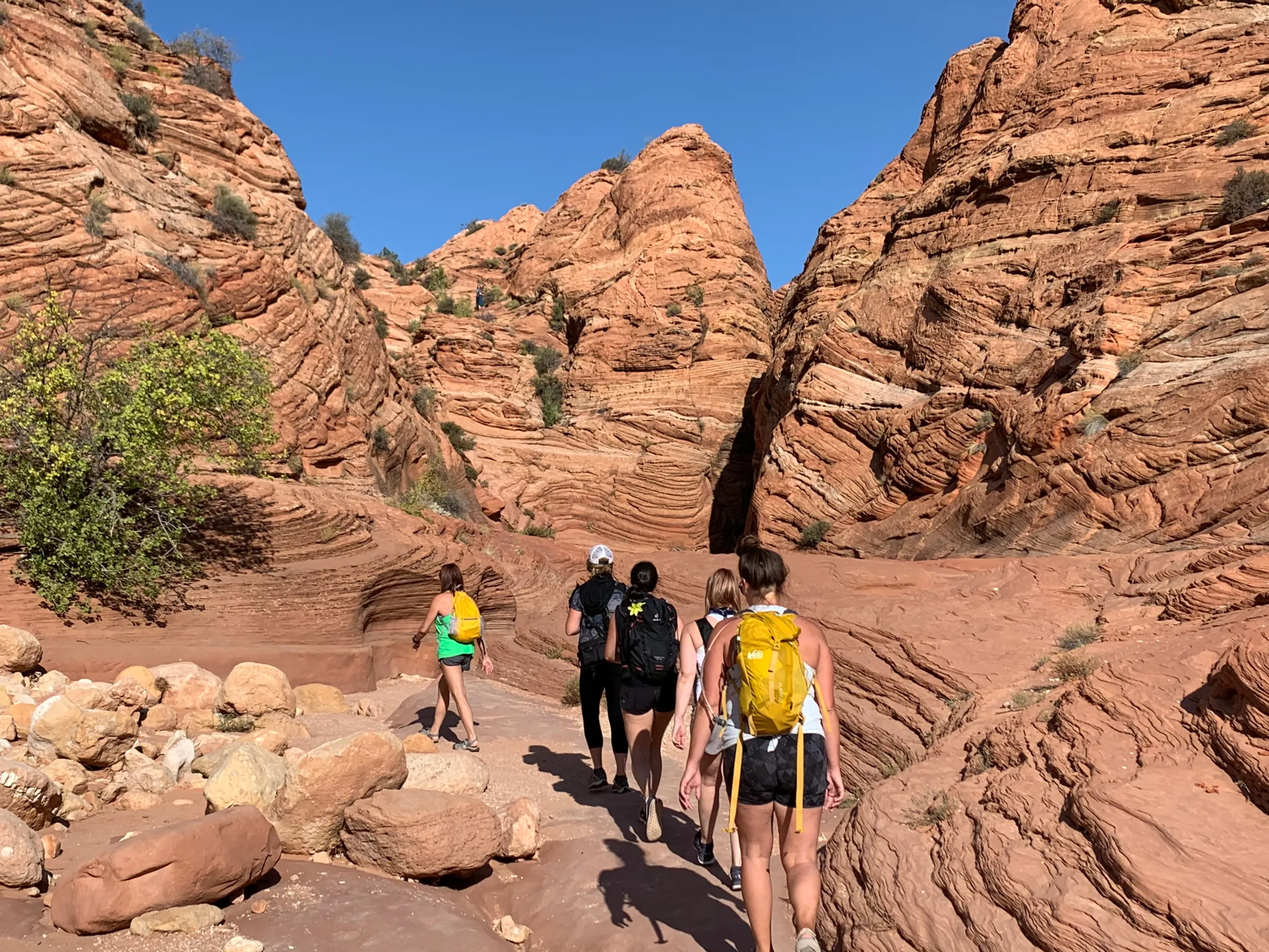 Group of hikers walking through a red rock canyon under a clear blue sky.