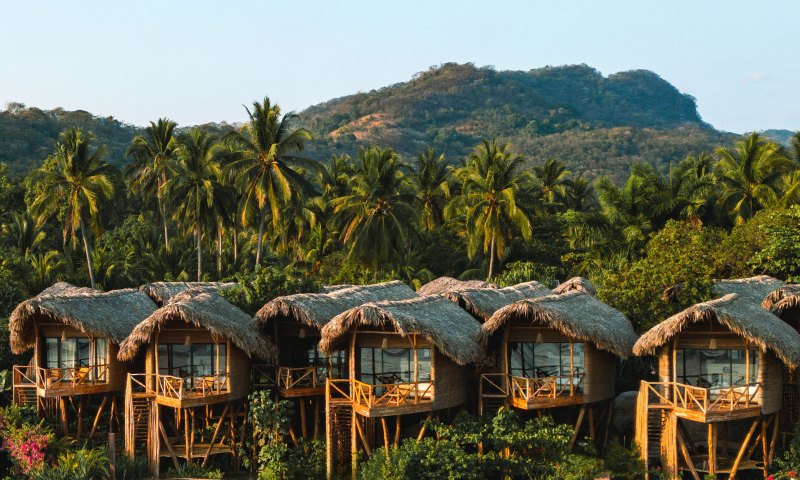 Thatched-roof huts surrounded by palm trees with a mountain in the background.