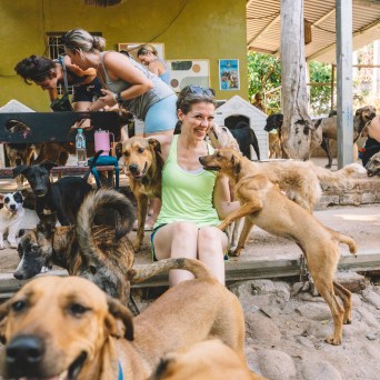 Woman sitting among many dogs, smiling, with people and dog houses in the background.
