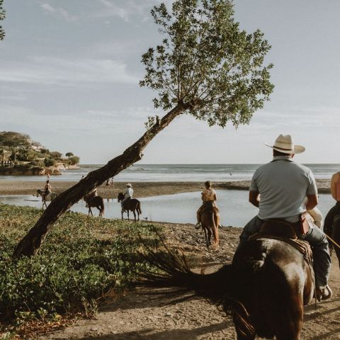 People on horseback riding near a coastal area with trees and ocean in the background.