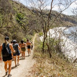 Group of people hiking on a coastal trail with a beach view, surrounded by dry trees and hills.