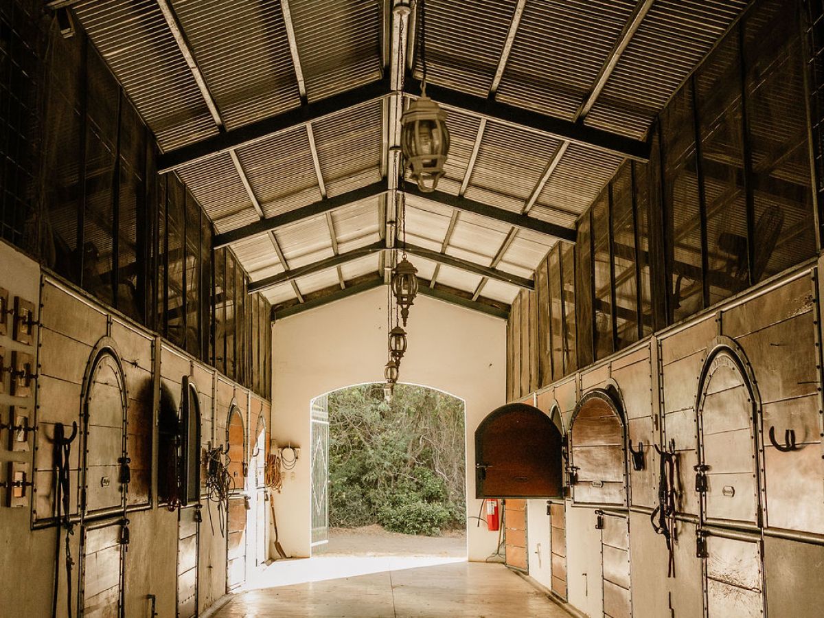 Empty stable aisle with metal roof and wooden stalls leading to an open door with trees outside.