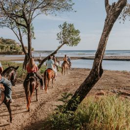 Group of people horseback riding along a beach path near the ocean under trees on a sunny day.