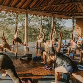 Group of people practicing yoga in a sunlit studio with wooden floors and trees visible outside.