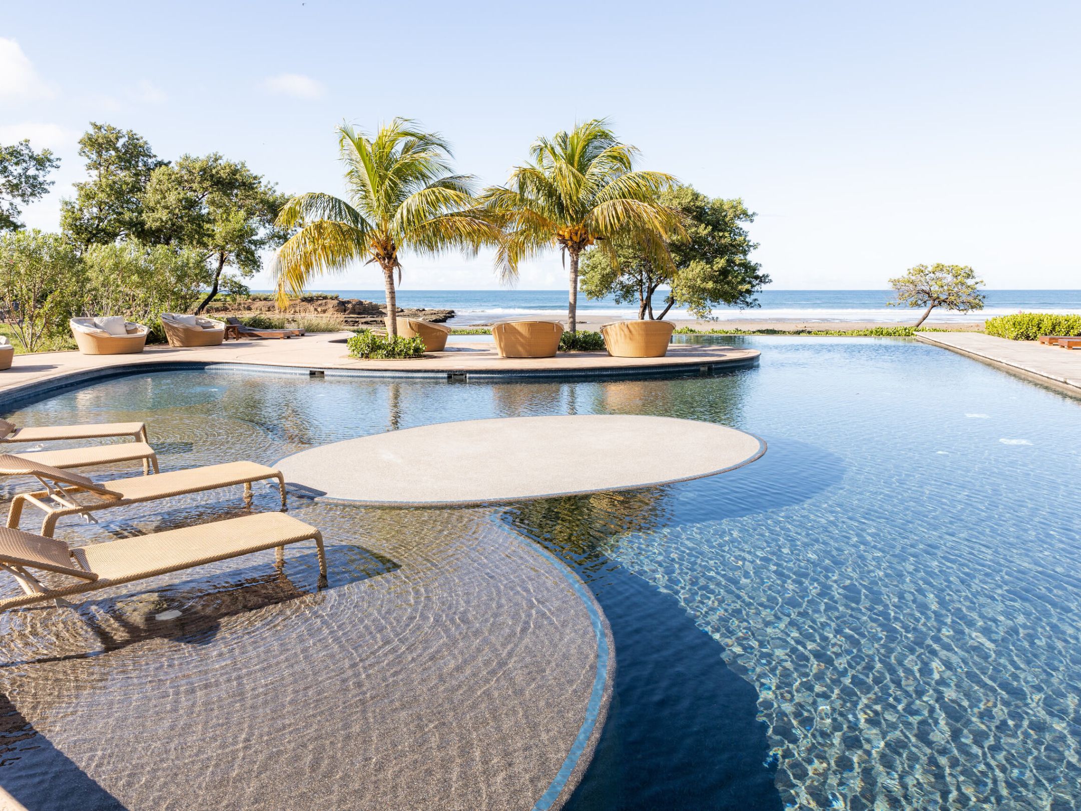 Tropical pool with lounge chairs, palm trees, and ocean view.