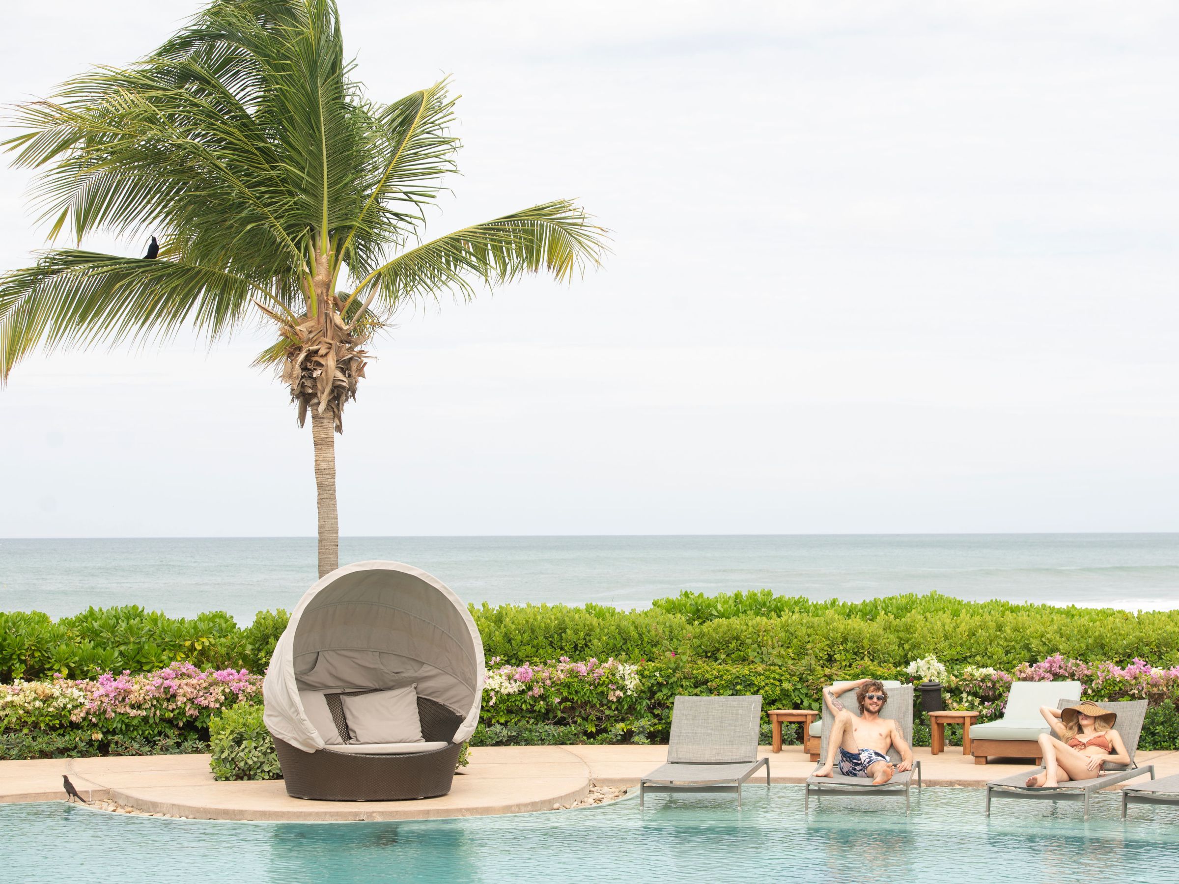 Two people relaxing on loungers by a pool with ocean and palm tree in the background.