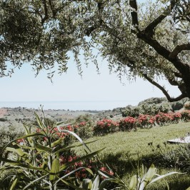 Scenic view of garden with trees, shrubs, and distant horizon.