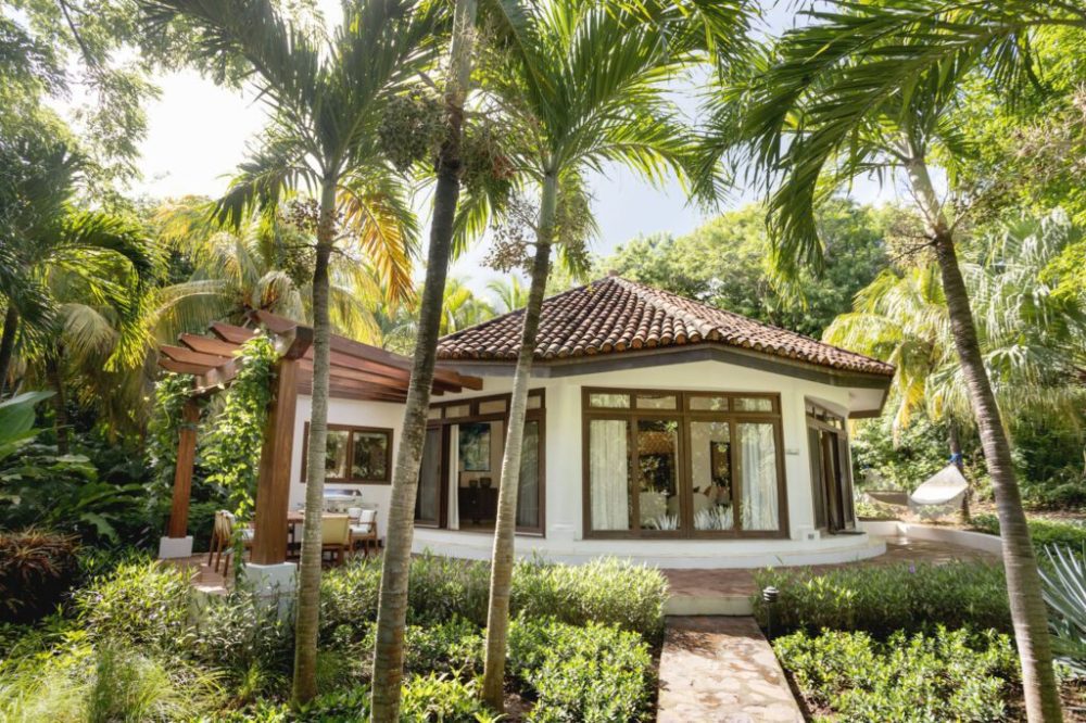 Cozy house with large windows surrounded by palm trees and lush greenery.