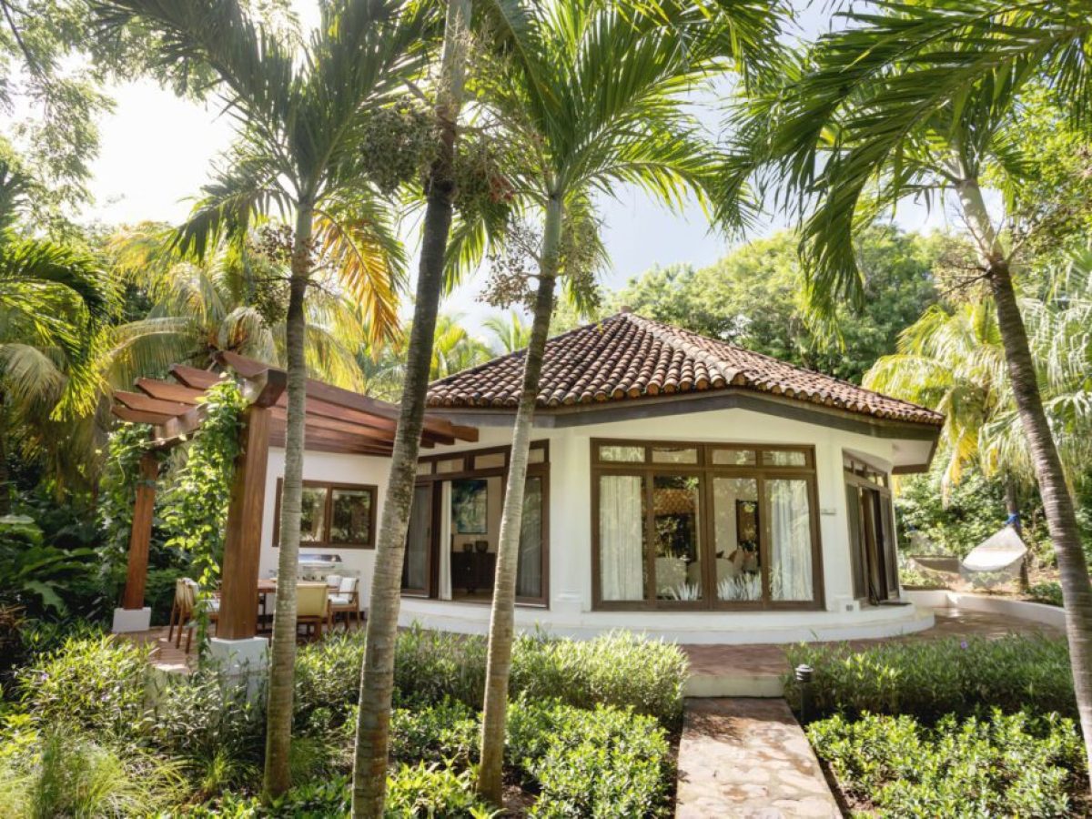 Cozy house with large windows surrounded by palm trees and lush greenery.