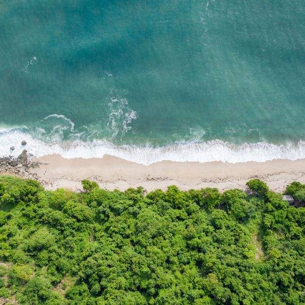 Aerial view of a beach with waves, sand, and lush green trees.