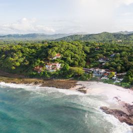 Aerial view of a forested coastline with houses and a sandy beach.