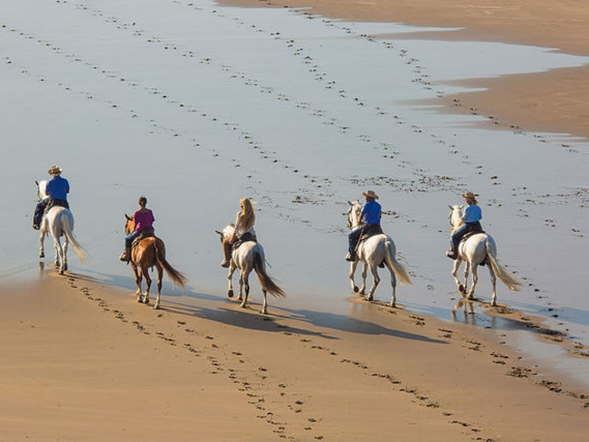 Five people on horseback riding along a beach.