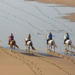 Five people on horseback riding along a beach.