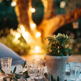 Outdoor table setting with plant, plates, glasses, and lights.