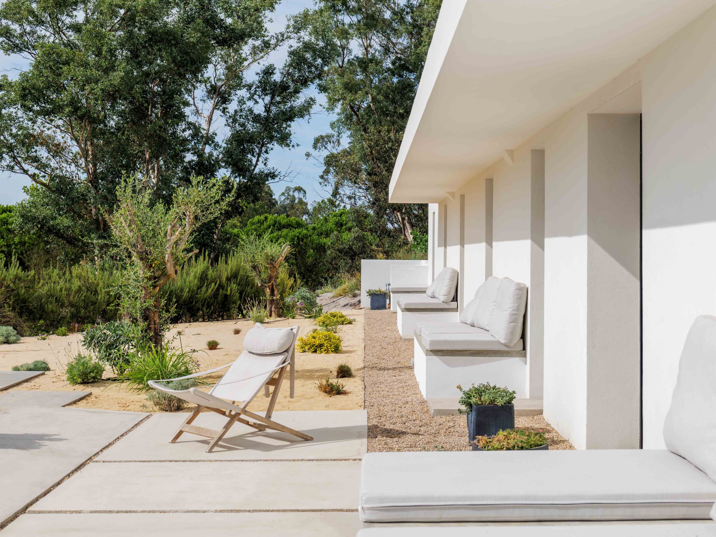 Modern patio with loungers, white walls, trees, and plants in a garden setting.