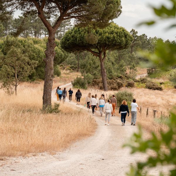 Group walking on a dirt path through grassy landscape with tall trees.